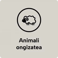 icon-01_Mesa-de-trabajo-1